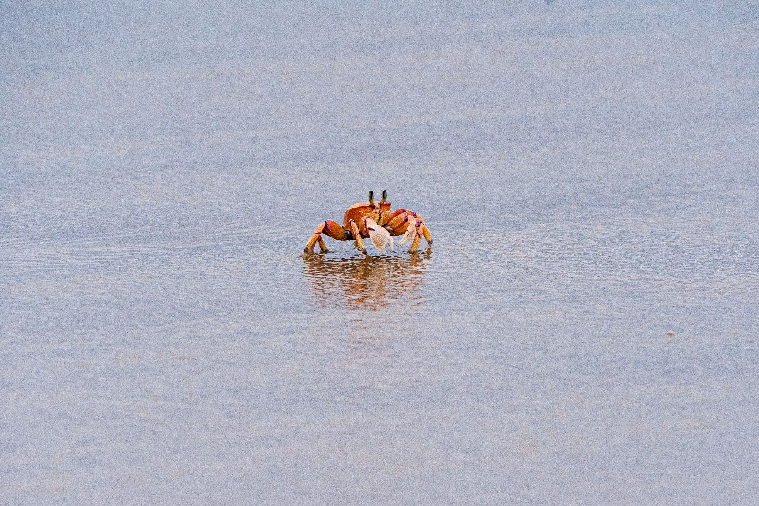 20230927 115632 Fotobuch Südafrika 04132